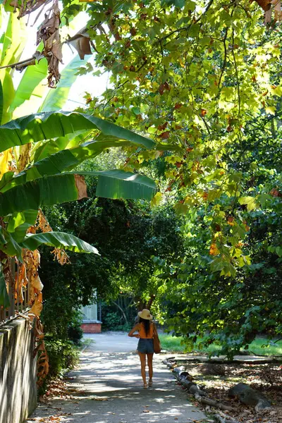 Mujer Sombrero Verano Jardín Botánico Con Árboles Naturaleza Verano — Foto de Stock