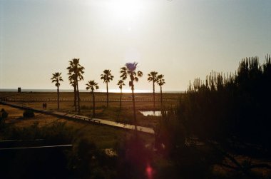 Güzel günbatımı, palmiye ağaçları ve okyanus. 35mm film fotoğrafı 