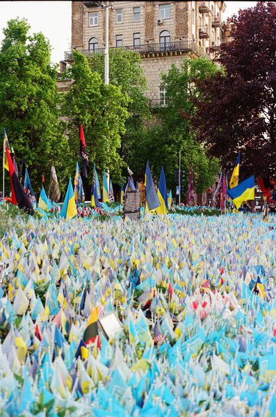 Ukrainian Memorial Flags Kyiv Ukraine Fallen Heroes Stock Image