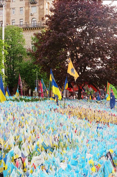 Ukrainian Memorial Flags Kyiv Ukraine Fallen Heroes Royalty Free Stock Images
