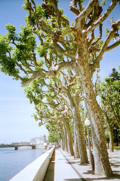 Coimbra Portugal City Street View River Trees Stock Photo