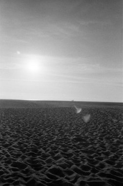 Çöldeki bir kumsalın siyah beyaz fotoğrafı.