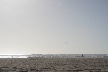 Sahilde köpeği olan ve arka planda okyanusu olan biri. 