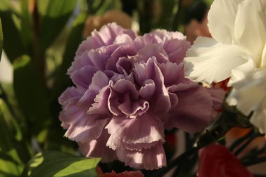 Bahar Çiçekleri Buketi