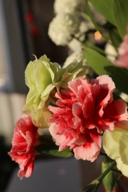 Bahçedeki güzel çiçekler