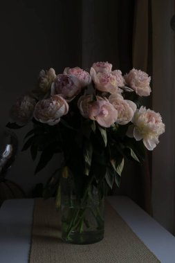 Düşük pozlu fotoğraf, güzel şakayık çiçekleri.