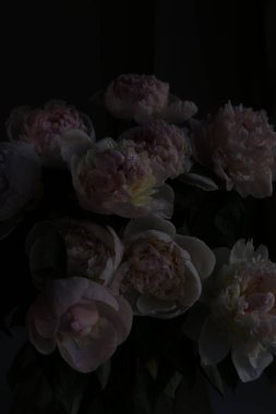 Düşük pozlu fotoğraf, güzel şakayık çiçekleri.