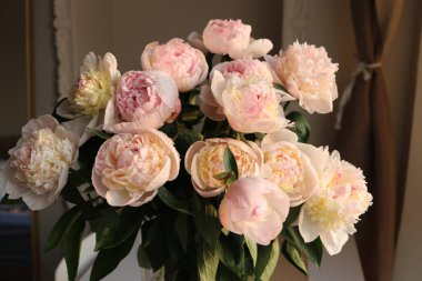 Güzel beyaz güllü şakayık çiçekleri 