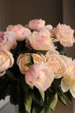 Güzel beyaz güllü şakayık çiçekleri 