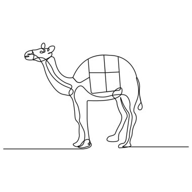 Dromedary simgesi ana hatlı vektör illüstrasyonunun sürekli bir çizgi çizimi