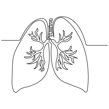 İnsan ciğerleri, tek çizgi sanat, sürekli izole edilmiş dış hat ikonu çizimi.