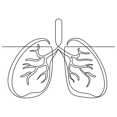 İnsan ciğerleri, tek çizgi sanat, sürekli izole edilmiş dış hat ikonu çizimi.