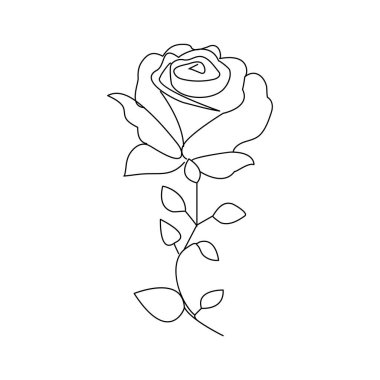 Gül çiçeği sürekli bir çizgi çizerek ana hatları çizer.