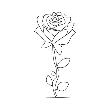 Gül çiçeği sürekli bir çizgi çizerek ana hatları çizer.