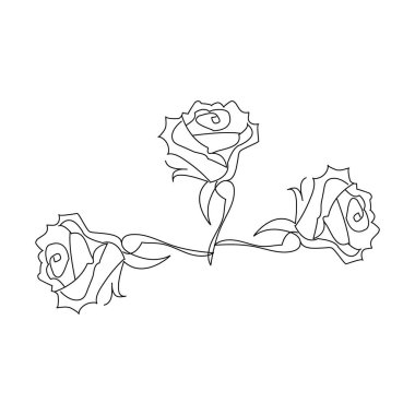 Gül çiçeği sürekli bir çizgi çizerek ana hatları çizer.