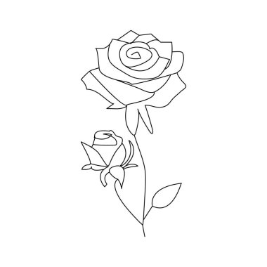 Gül çiçeği sürekli bir çizgi çizerek ana hatları çizer.