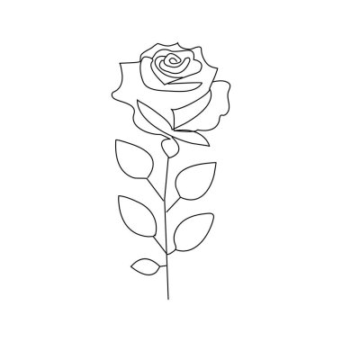 Gül çiçeği sürekli bir çizgi çizerek ana hatları çizer.