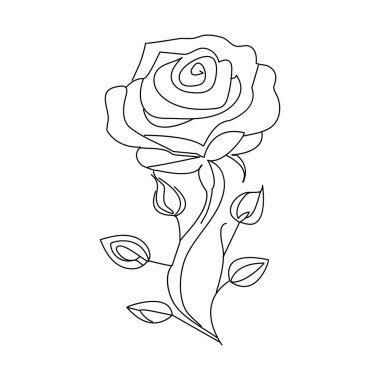 Gül çiçeği sürekli bir çizgi çizerek ana hatları çizer.