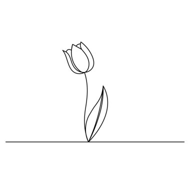 Lale çiçekleri sürekli bir çizgi çizer. 