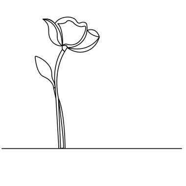 Lale çiçekleri sürekli bir çizgi çizer. 