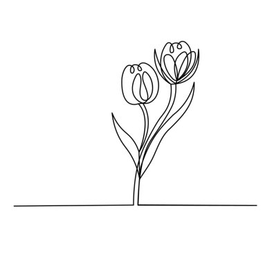 Lale çiçekleri sürekli bir çizgi çizer. 