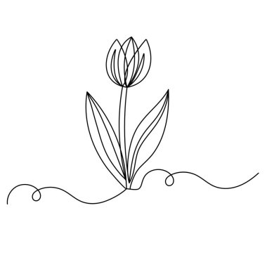 Lale çiçekleri sürekli bir çizgi çizer. 