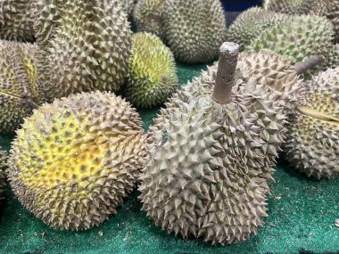 Durian montong Tayland 'dan geliyor. Durian, çok keskin bir kokusu ve tatlı bir tadı olan meyvelerin kralıdır. Meyvenin dokusu yumuşaktır.