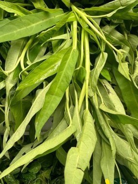 Bilimsel adı Ipomoea Aquatica olan yeşil lahana. Lezzetli ve sağlıklı bir yemek menüsü olarak kullanılır çünkü çok fazla lif içerir..