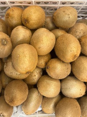 Kiwi fruit, scientifically called Actinida Deliciosa, contains 230 percent of your daily vitamin C requirement.