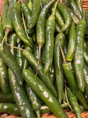 Bir sepette yeşil kırmızıbiber (Capsicum frutescens). Güney Meksika 'dan tropikal Amerika' ya yayılmış kuru bir tropikal biyolojiden kaynaklanan bir bitki.