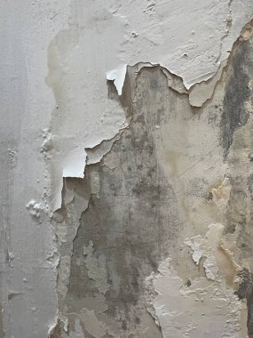 Grunge duvar dokusu. Suyun emilimi nedeniyle hasar gören ve soyulan bir duvar. Böylece duvar nemli ve hafifçe küflü olur..