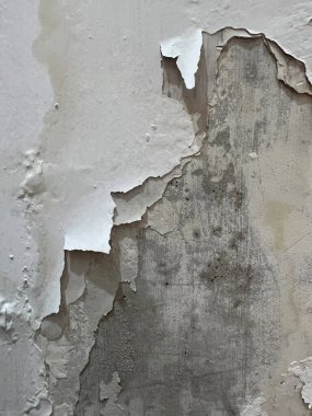 Grunge duvar dokusu. Suyun emilimi nedeniyle hasar gören ve soyulan bir duvar. Böylece duvar nemli ve hafifçe küflü olur..