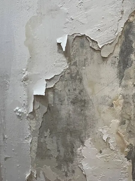 Grunge duvar dokusu. Suyun emilimi nedeniyle hasar gören ve soyulan bir duvar. Böylece duvar nemli ve hafifçe küflü olur..