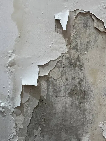 Grunge duvar dokusu. Suyun emilimi nedeniyle hasar gören ve soyulan bir duvar. Böylece duvar nemli ve hafifçe küflü olur..