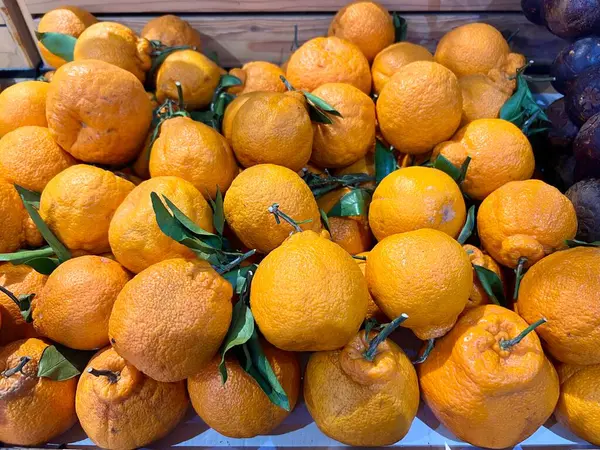 Latince 'de çekirdeksiz Chunjian portakalları konteynırına Citrus Reticulata denir. Japonya 'da tatlı bir tat ile geliştirildi ve soyulması kolay.