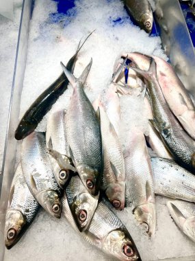 Pazarda buzda sergilenen taze balıklar. Sağlıklı deniz ürünleri konsepti. Balık dokusu ve arka plan. Çeşitli deniz ürünleri tariflerine yemek pişirmek ve eklemek için ideal.