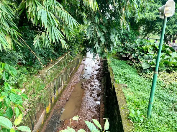 Kenarında yerel hükümet tarafından inşa edilmiş beton bir duvarı olan küçük bir nehir çevresindeki nüfusu sel tehlikelerinden koruyor. Yeşil ağaçların arka planında.