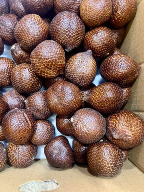 Latince Salacca Zalacca 'da karton bir kutuda meyve ya da yılan meyvesi.