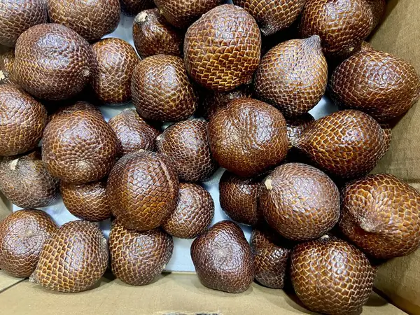 Latince Salacca Zalacca 'da karton bir kutuda meyve ya da yılan meyvesi.