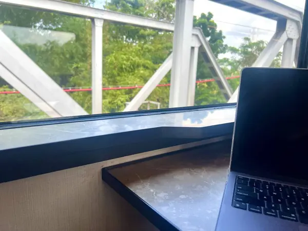 Bir işadamı, Endonezya 'da gün boyunca yeşil çimlerin ve açık mavi gökyüzünün görüntüsüne bakarken, bir dizüstü bilgisayar ve kablosuz internet kullanarak trende çalışır..