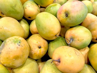 Gedong Gincu mangosu. Batı Java, Majalengka 'dan bir Endonezya tropikal meyvesi. Kokulu kokusu ve tatlı tadı ile bir meyve pazarında sergileniyor..
