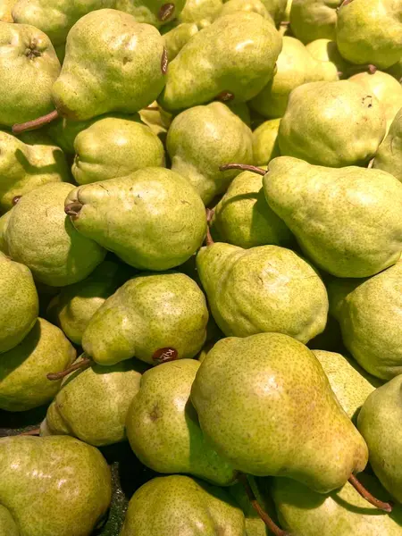 Lezzetli ağaç olgunlaşmış yeşil armutlar, açık yeşil deri ve taze beyaz et. Tarım, sağlık, tatlı, hasat, vitamin, iş, organik meyve