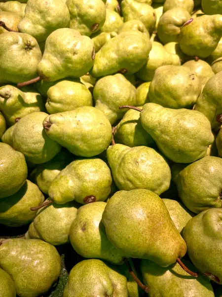 Lezzetli ağaç olgunlaşmış yeşil armutlar, açık yeşil deri ve taze beyaz et. Tarım, sağlık, tatlı, hasat, vitamin, iş, organik meyve