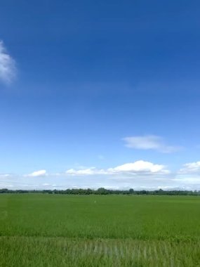Yogyakarta, Endonezya 'da hareket halindeki bir trenin camından yeşil pirinç tarlalarının ve açık mavi bir gökyüzünün görüntüsü. Arkaplan, mesaj, duvar kağıdı veya yazma alıntıları için uygun.