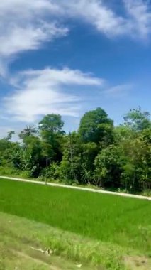 Yogyakarta, Endonezya 'da hareket halindeki bir trenin camından yeşil pirinç tarlalarının ve açık mavi bir gökyüzünün görüntüsü. Arkaplan, mesaj, duvar kağıdı veya yazma alıntıları için uygun.