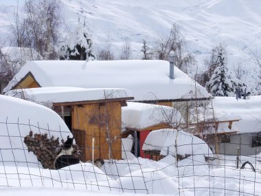 Uzun, düz saçlı ve yeşil bluzlu genç bir kadın çarpıcı bir günbatımının önünde kameraya gülümsüyor. Arka planda, geniş bir nehir gökyüzünün sıcak renklerini yansıtırken, botlar suyun üzerinde yavaşça yüzerler.. 