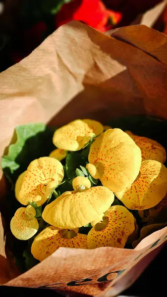 Dükkanda bahar çiçekleri var.