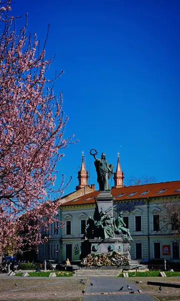 Bir Romen şehrinin sokaklarında çiçek açan pembe ağaçlar