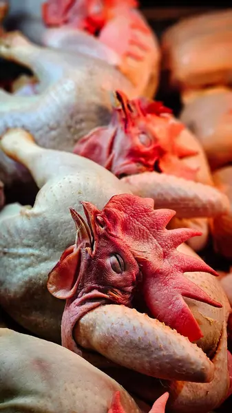 Budapeşte 'deki merkez pazarının raflarında et var.