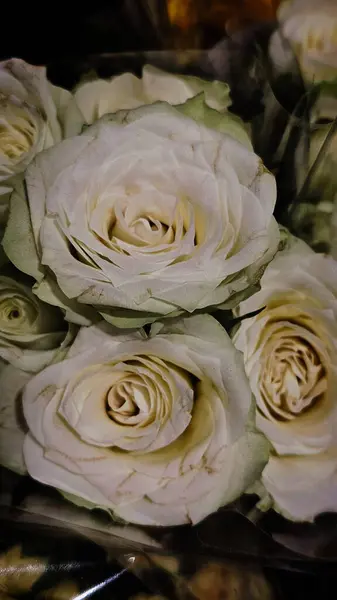 Bir buket yabani çiçek.